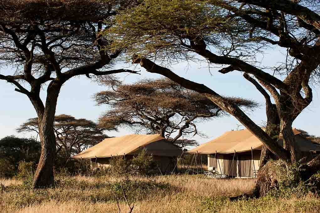 Southern Serengeti – Recommended Dec-Mar