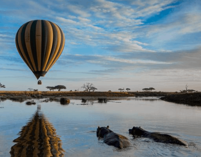 Balloon Safari