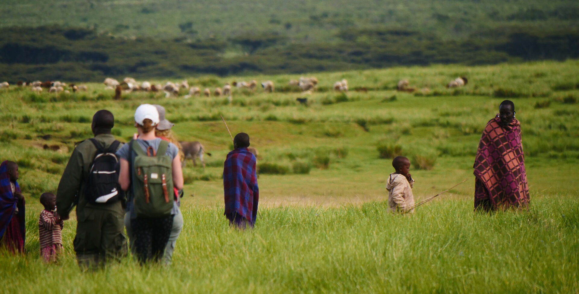 Feel Freedom, Experience Nature