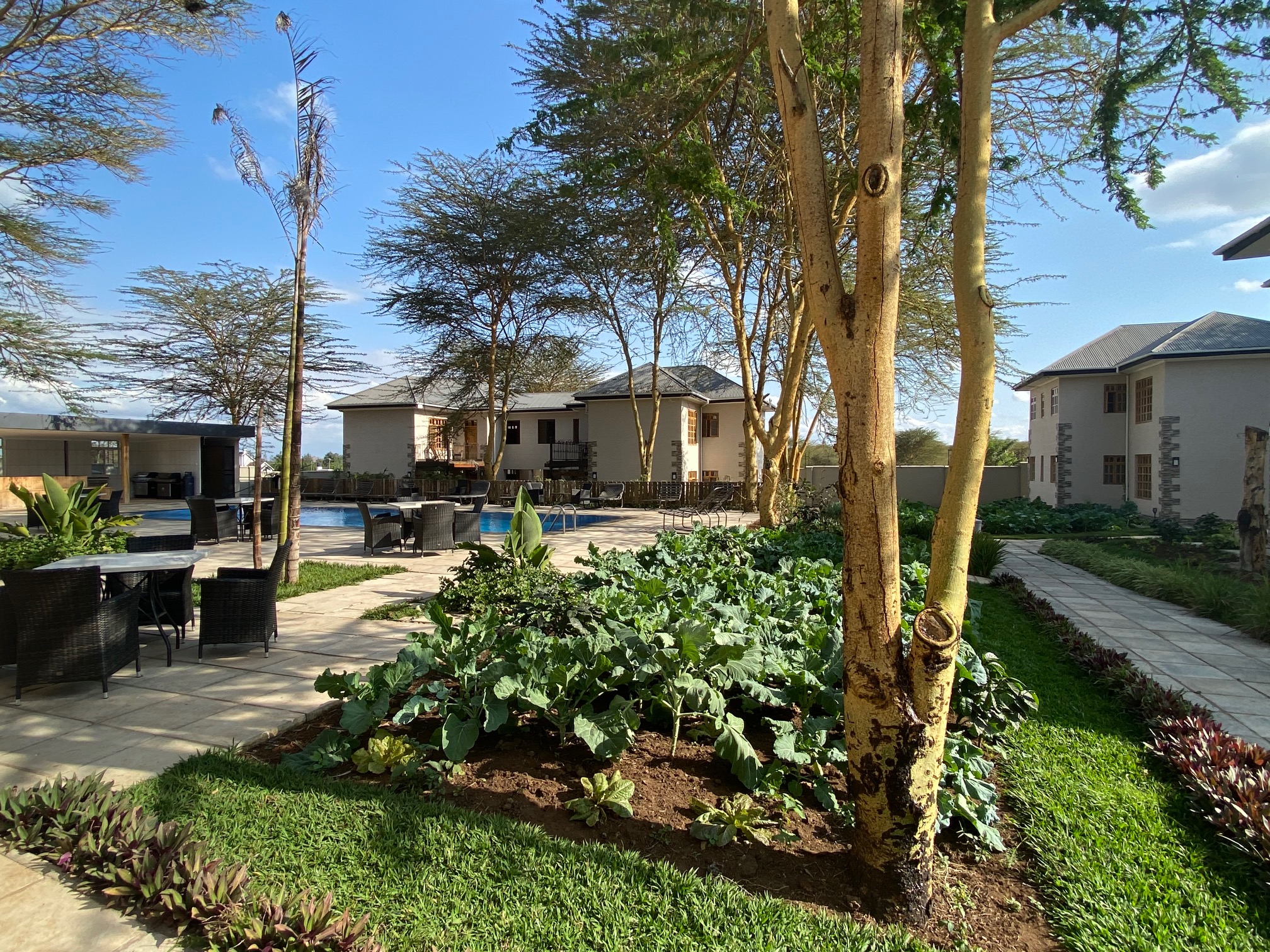 Lodges in Arusha
