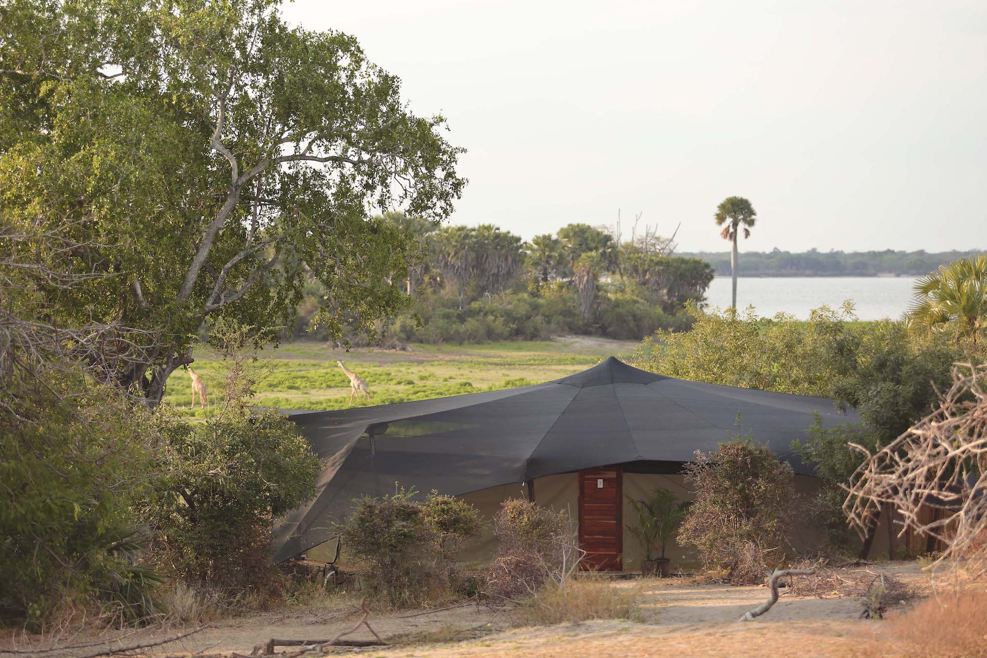Camps inside Nyerere National Park