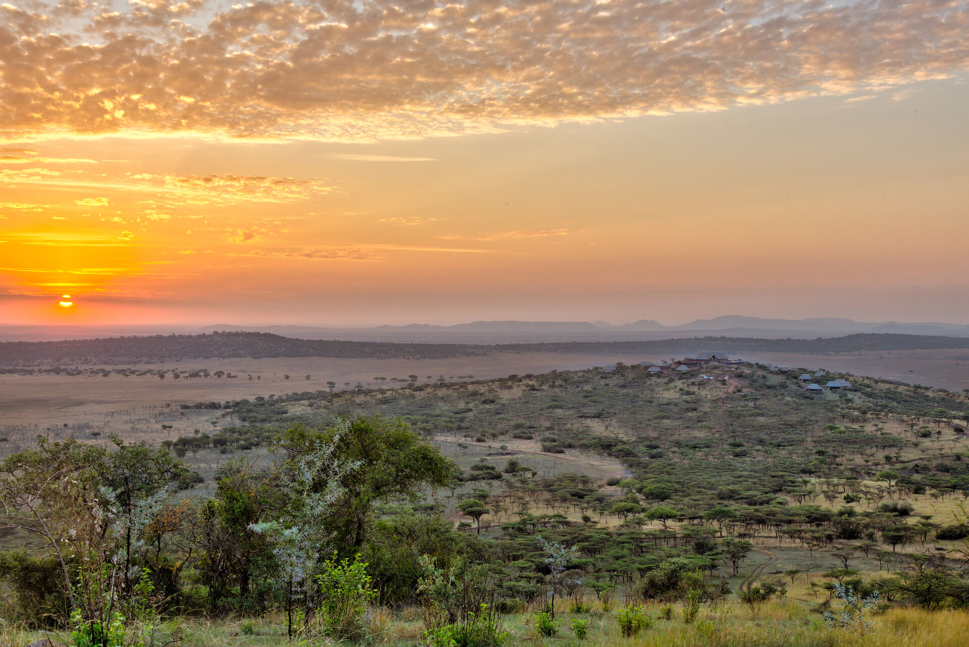 Western Serengeti – Recommended Apr-Jun