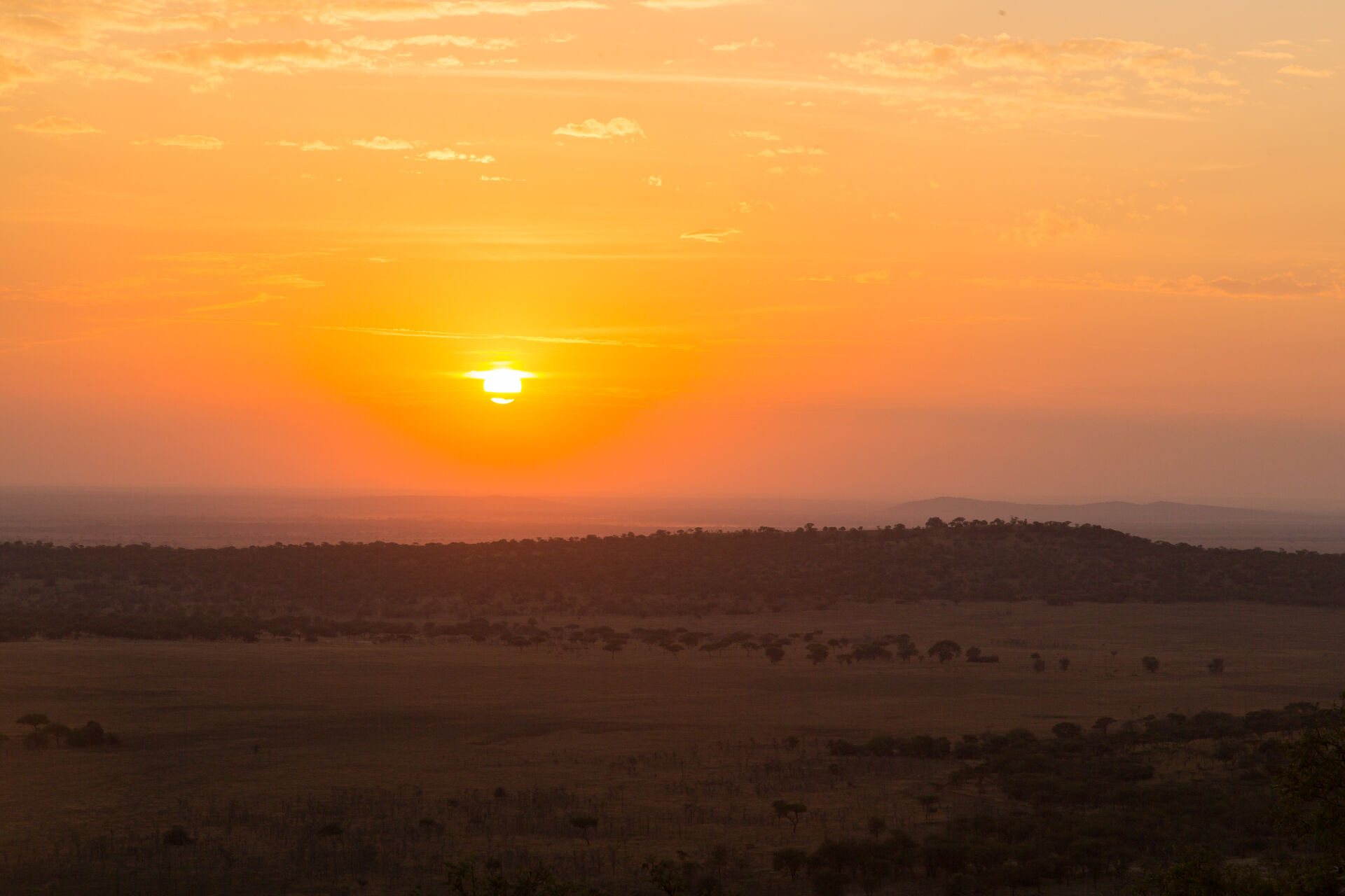 Western Serengeti – Recommended Apr-Jun